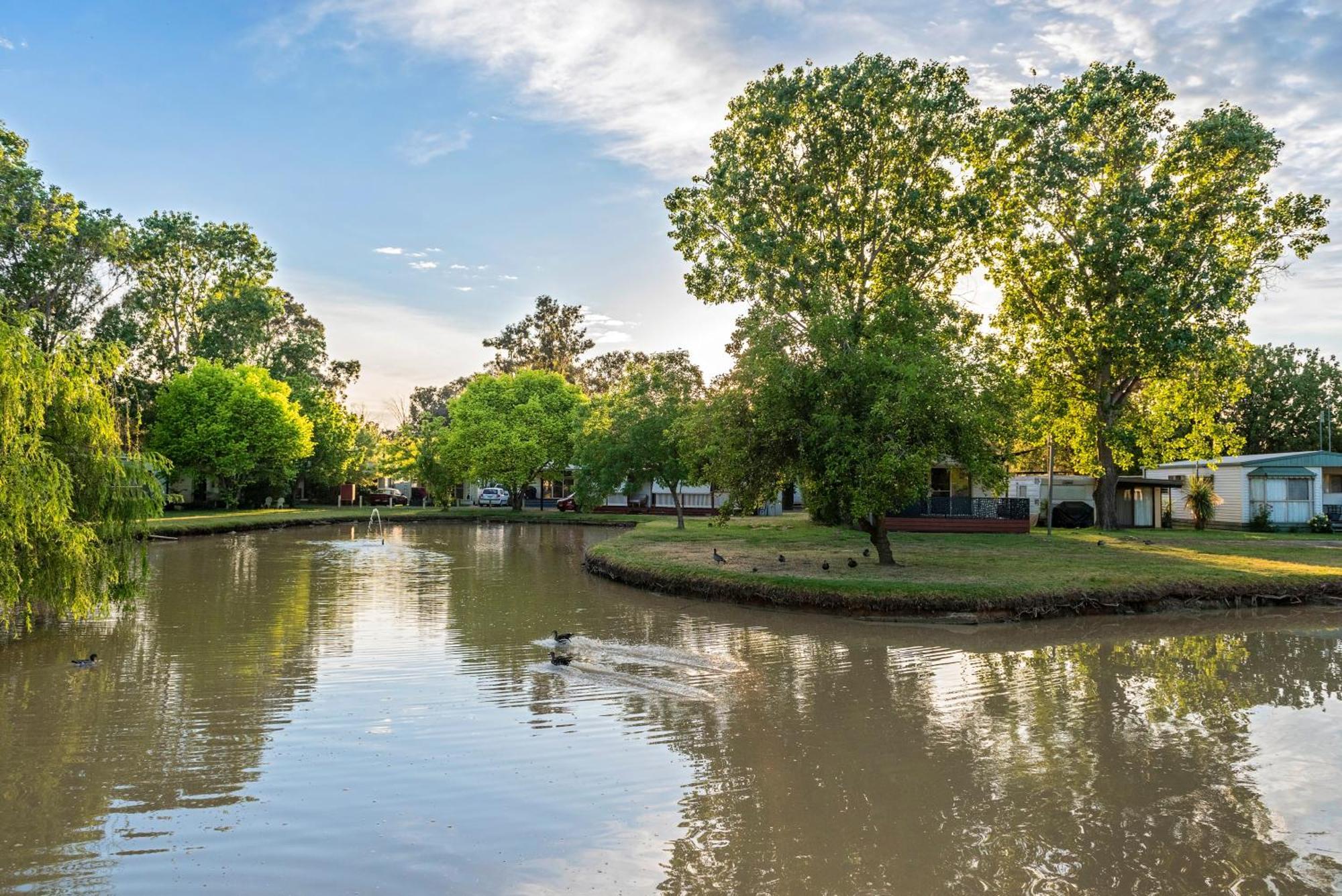 Discovery Parks - Maidens Inn Moama Eksteriør billede